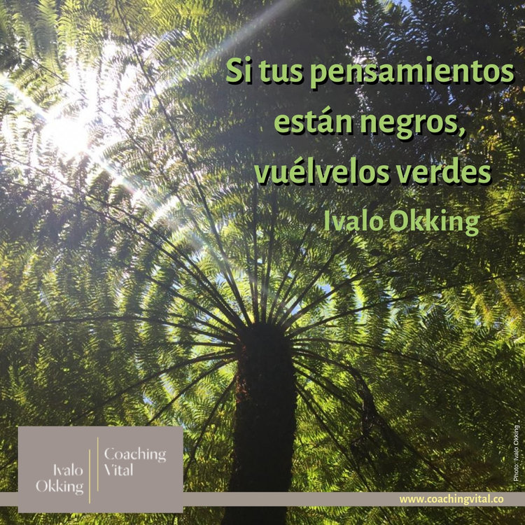 Si tus pensamientos están negros, vuélvelos verdes