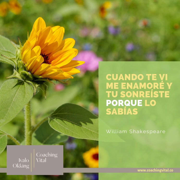 ¿Sabias que el 93% de nuestra comunicación no es verbal?