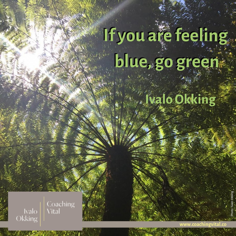 If you are feeling blue, go green!