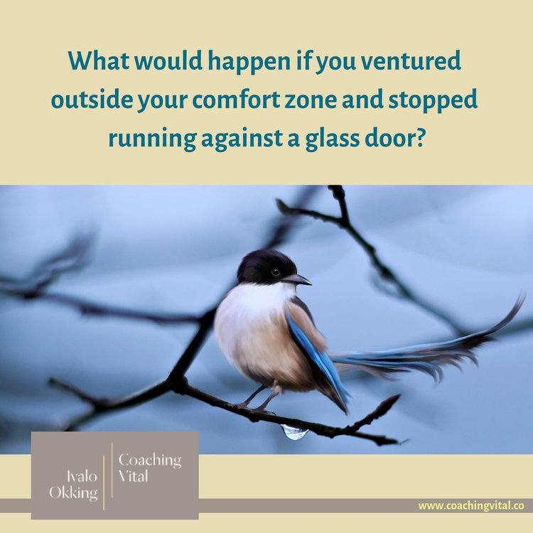 Are you a little bird trapped in a chimney trying to get out through the only closed door?