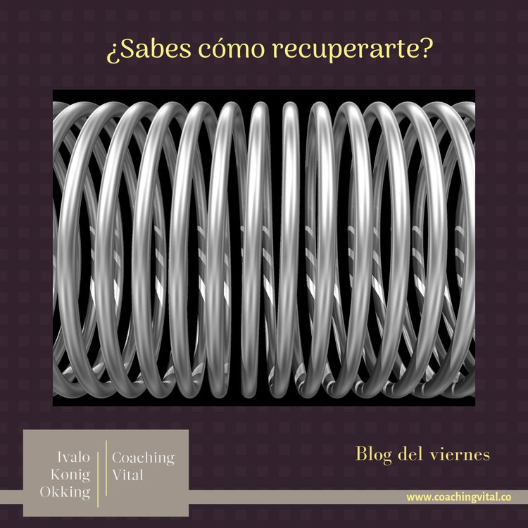 ¿Cómo es el sistema inmunológico de tu vida? ¿Sabes cómo recuperarte?
