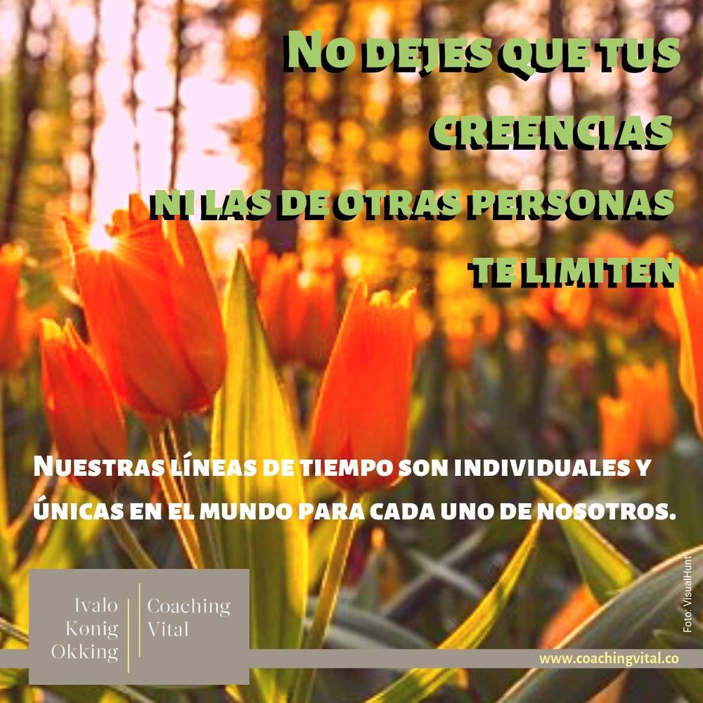 No dejes que tus creencias ni las de otras personas te limiten