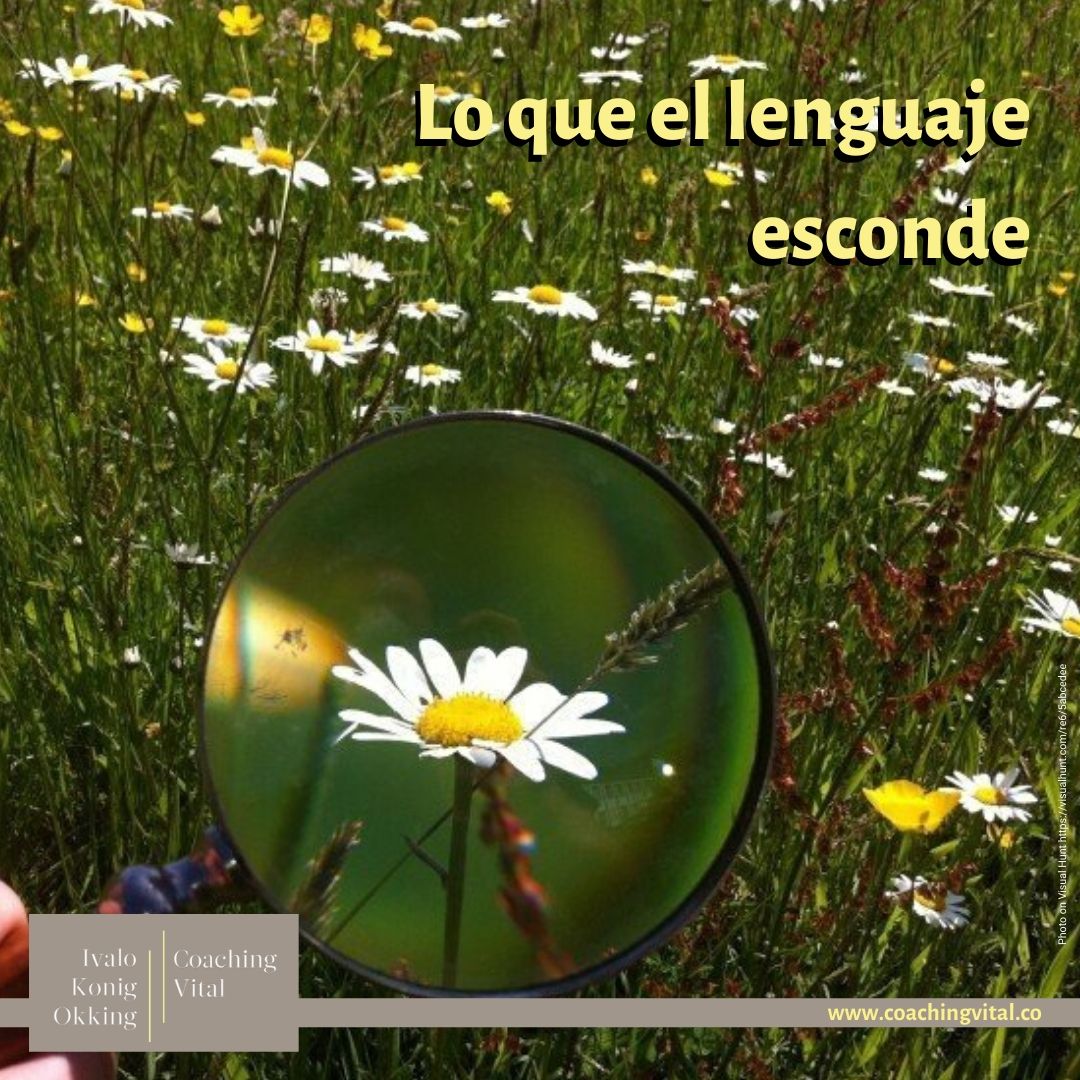 Lo que el lenguaje esconde