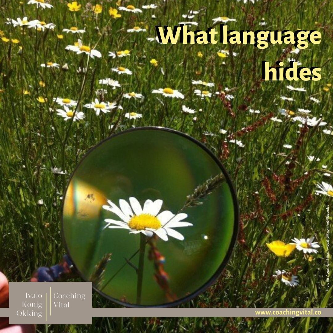 What the language hides